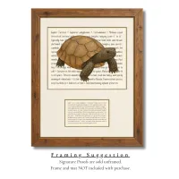 Gopher Tortoise Live Wildly Signature Proof – Image 2