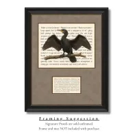 Double-crested Cormorant Signature Proof – Image 2