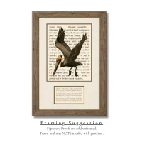 Brown Pelican Signature Proof – Image 2