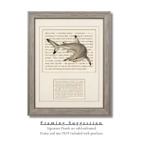 Blacktip Shark Signature Proof – Image 2