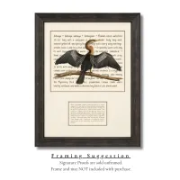 Anhinga Signature Proof – Image 2