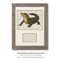 American Alligator Signature Proof – Image 2