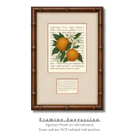 Temple Orange Signature Proof – Image 3