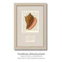 Queen Conch Signature Proof – Image 3