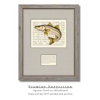 Common Snook Signature Proof – Image 2