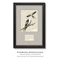 Swallow-tailed Kites Signature Proof – Image 3