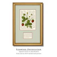 Virginia Strawberry Signature Proof – Image 3