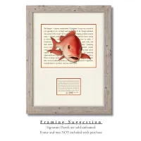Red Snapper Signature Proof – Image 2