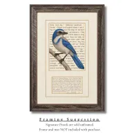 Florida Scrub-Jay Live Wildly Signature Proof – Image 2