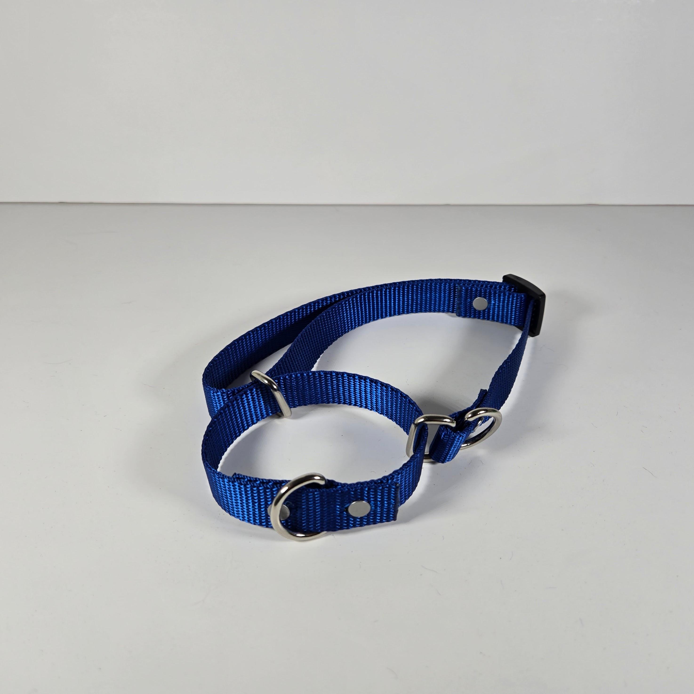 Martingale Collar – Blue, Medium (12"-18")