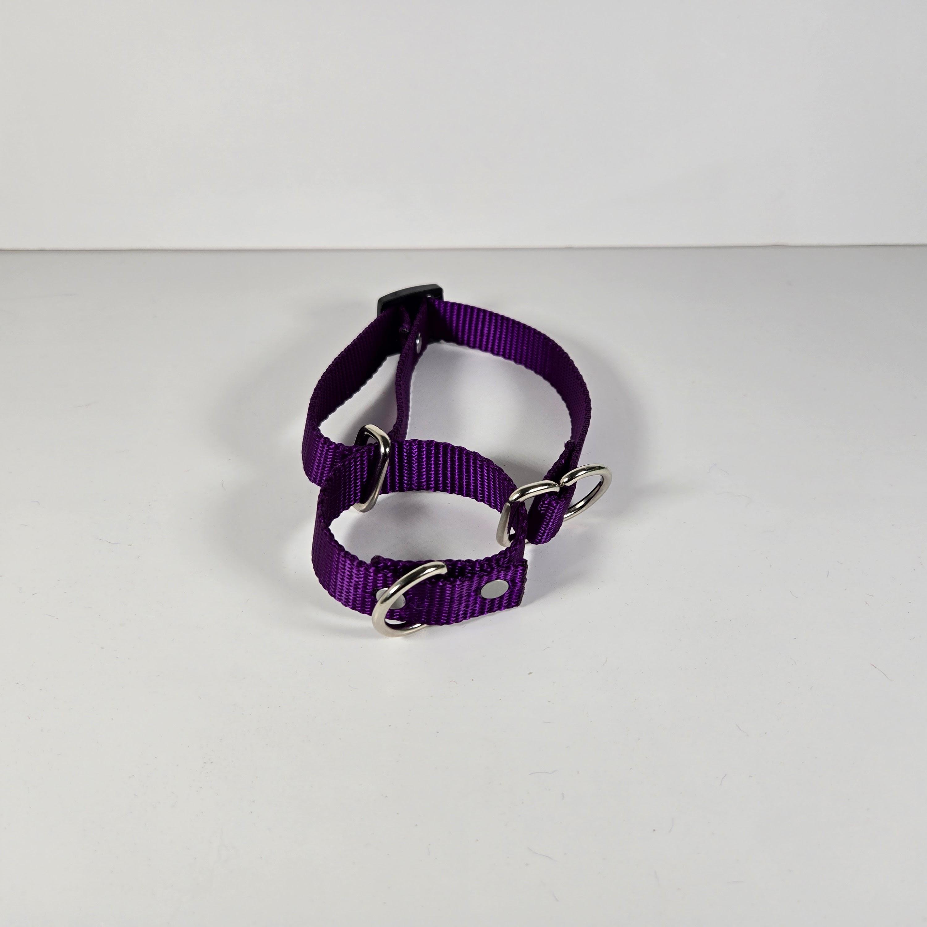 Martingale Collar – Purple, Small (10"-14")