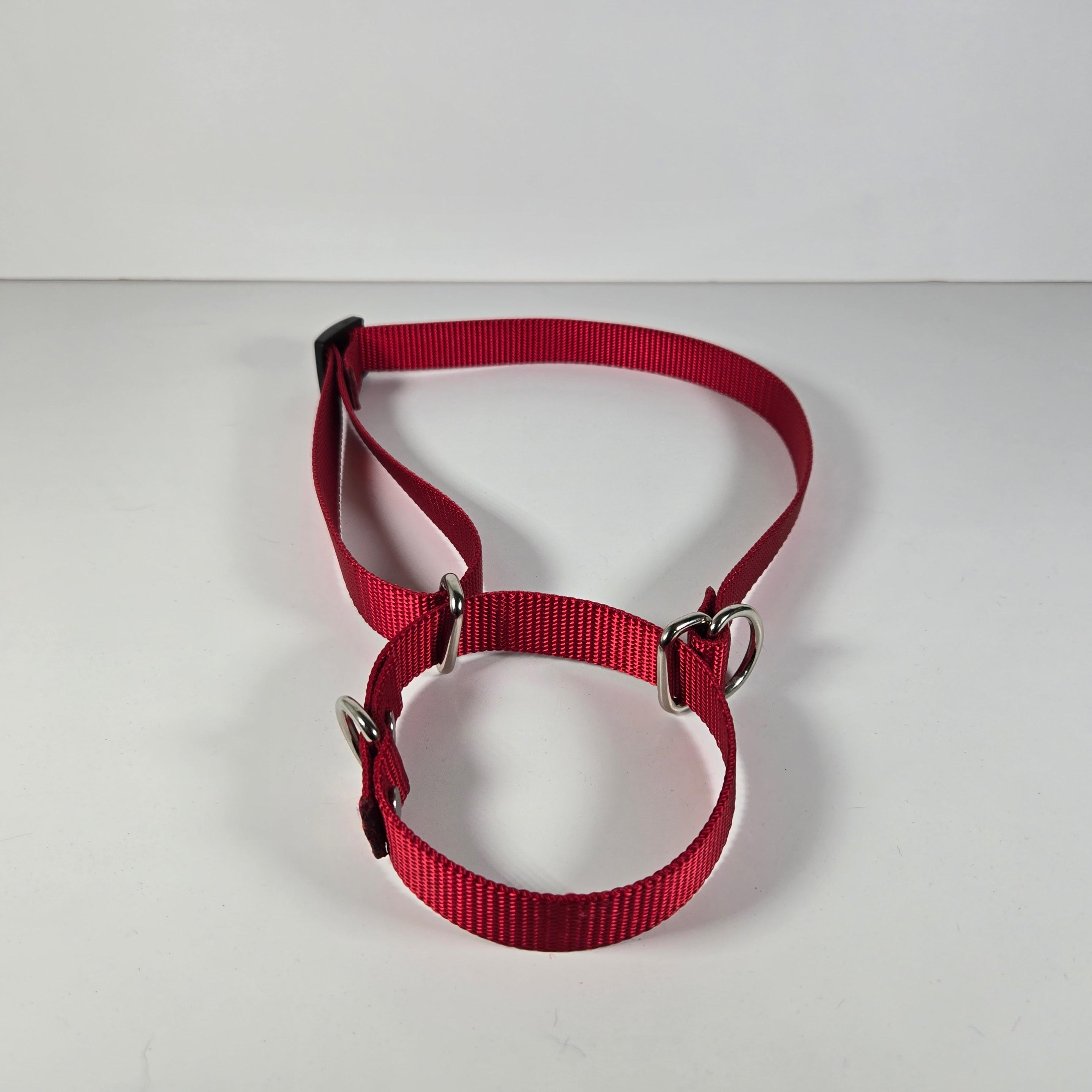 Martingale Collar – Red, Large (16"-26")