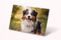 Acrylic Prints – 8 x 10 inches