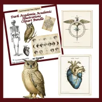 Dark Academia Mega Bundle, Vintage Clipart Set, Gothic Journal Elements, Scholarly Objects Collection – Image 5