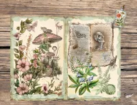 Herbalist Junk Journal Pages: Vintage Botanical Ephemera (Digital Download, 30-Pack) – Image 2
