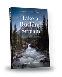 Like a Rushing Stream (signed by Jonye) – Image 1