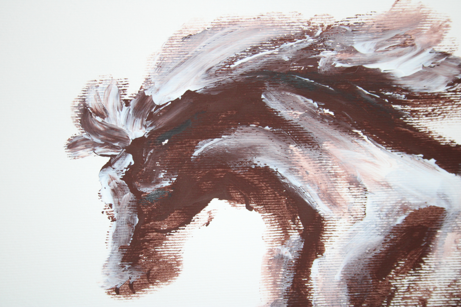 Freedom prints – Image 4