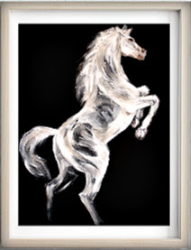 Dignity Prints – Image 13