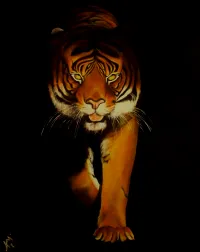 Tiger. Tiger! Prints – Image 1