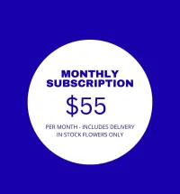 $55 Monthly Subscription – Image 1