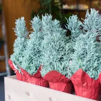 4" Lavender Tree – Image 1