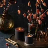 Velours Noir – Image 1