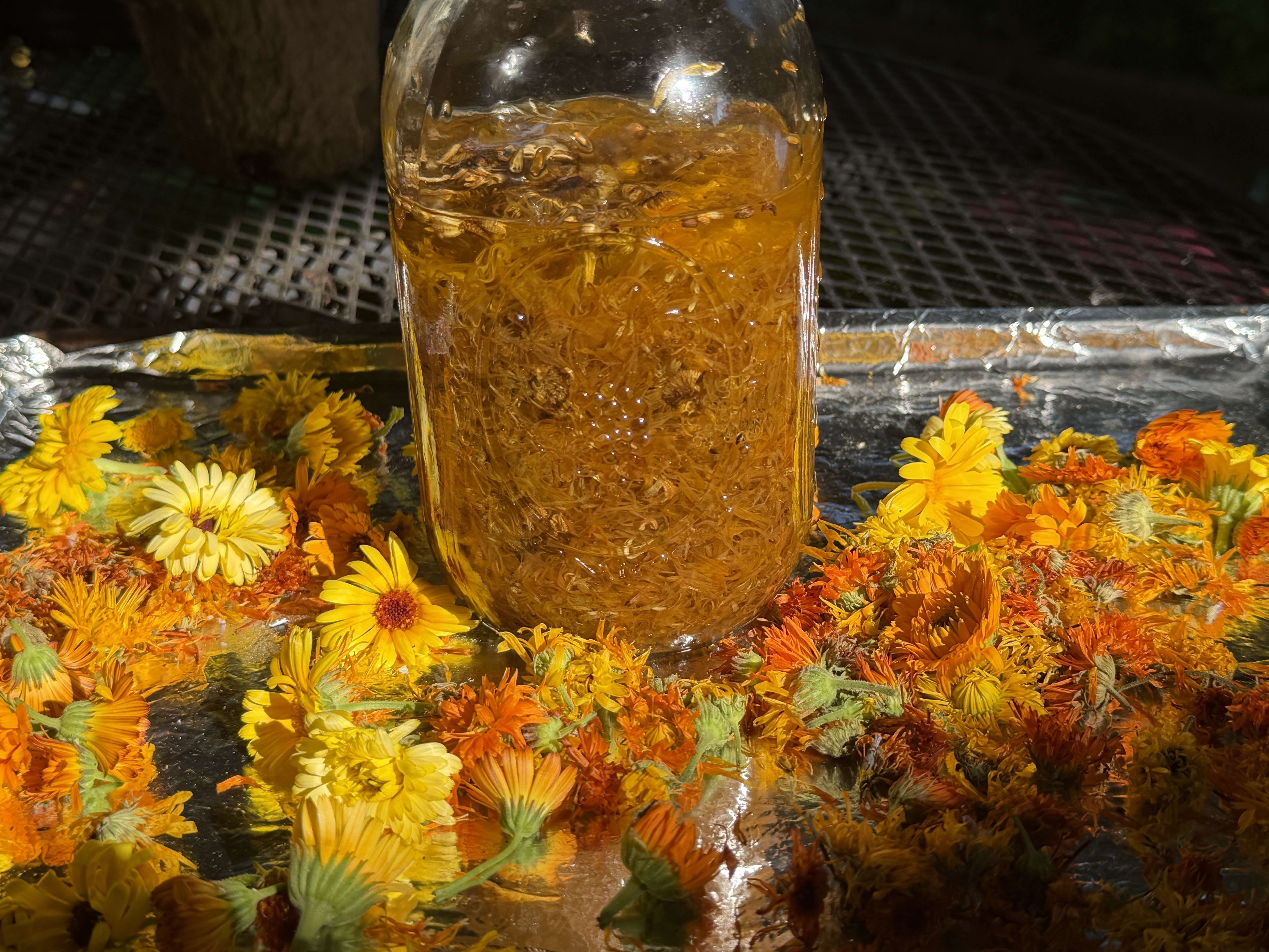 Organic Calendula Infused Oil – Image 2