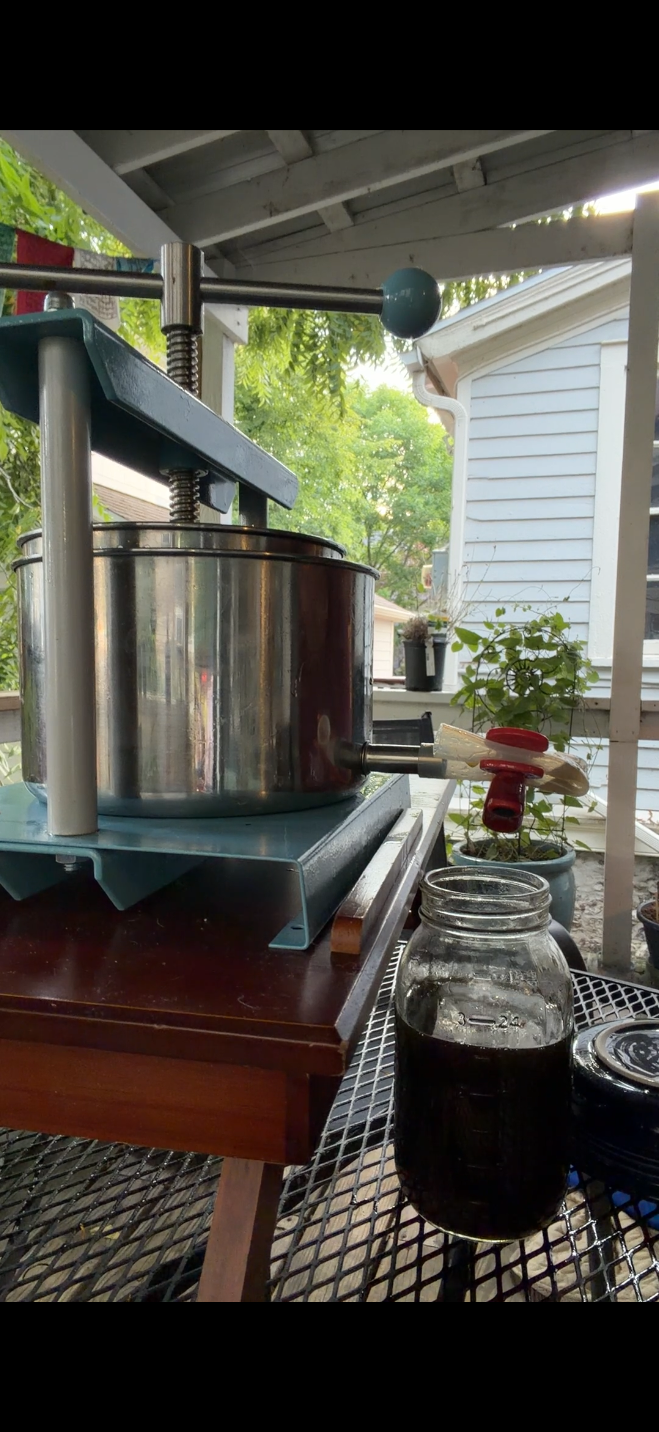 FRESH Flower Infusion of St. John's Wort – Image 4