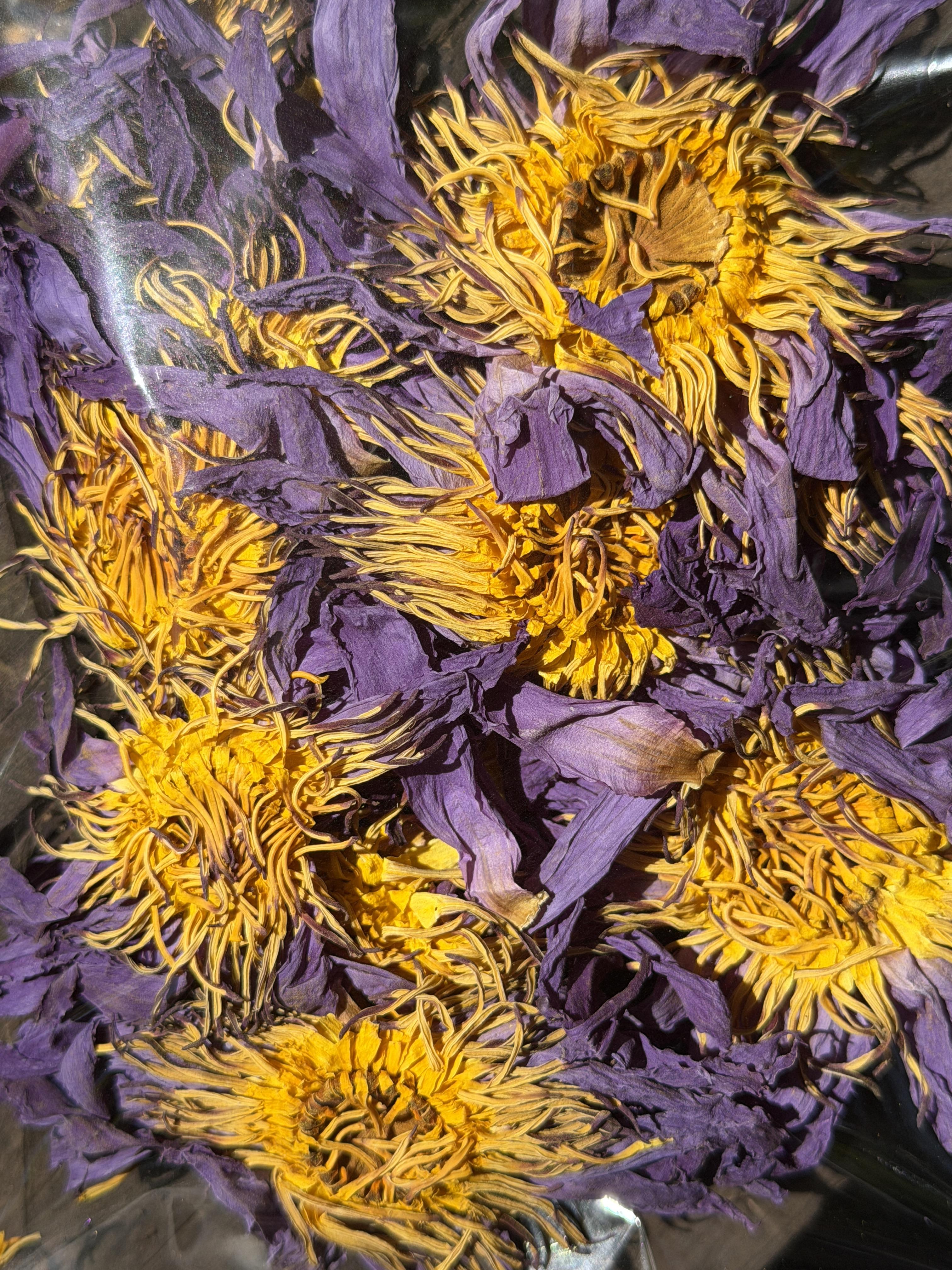 Organic Blue Lotus flowers for Tea or Infusing – Image 2