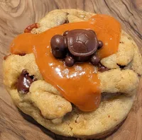 Turtle Cookie – Image 1