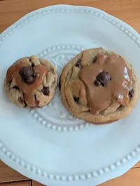 Turtle Cookie – Image 3