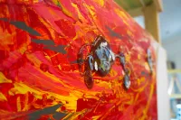 Tequila Sunset – Image 5