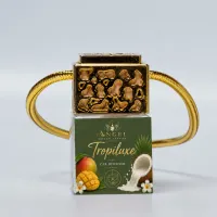 Car Diffuser Top Gold | Luxury Tropical Car Air Freshener – Tropiluxe