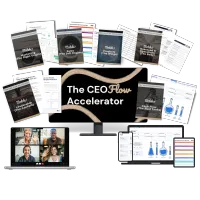 CEO Flow Accelerator VIP – Image 1