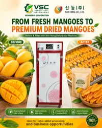 SN-120 Dehydrator Machine  – Image 5