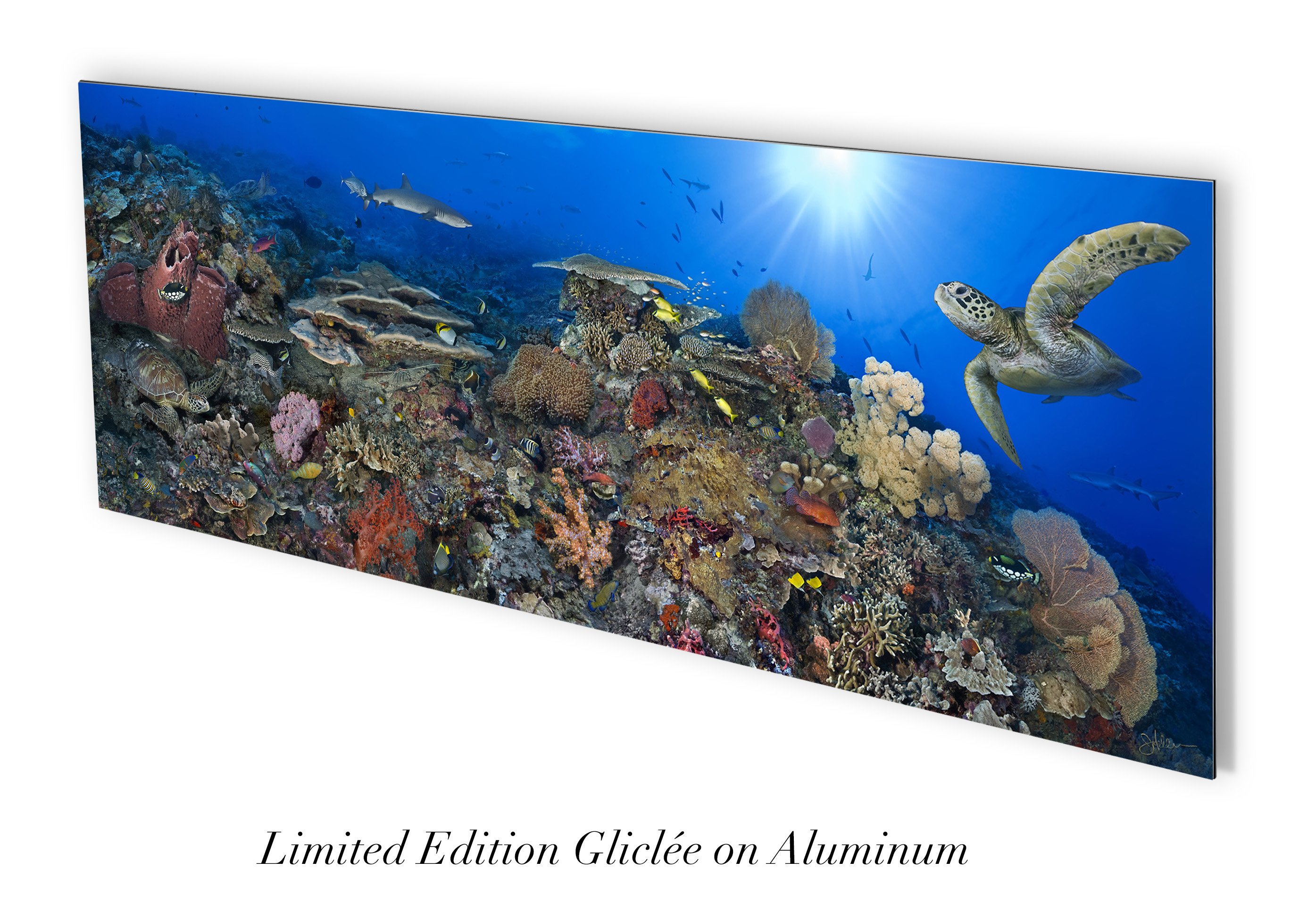 "South Point 2" – Image 3
