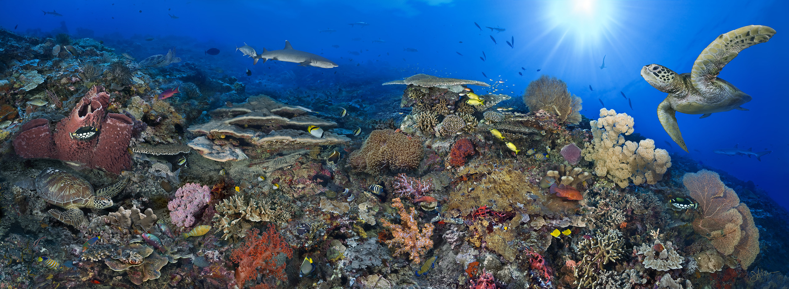 "South Point 2" – Image 2