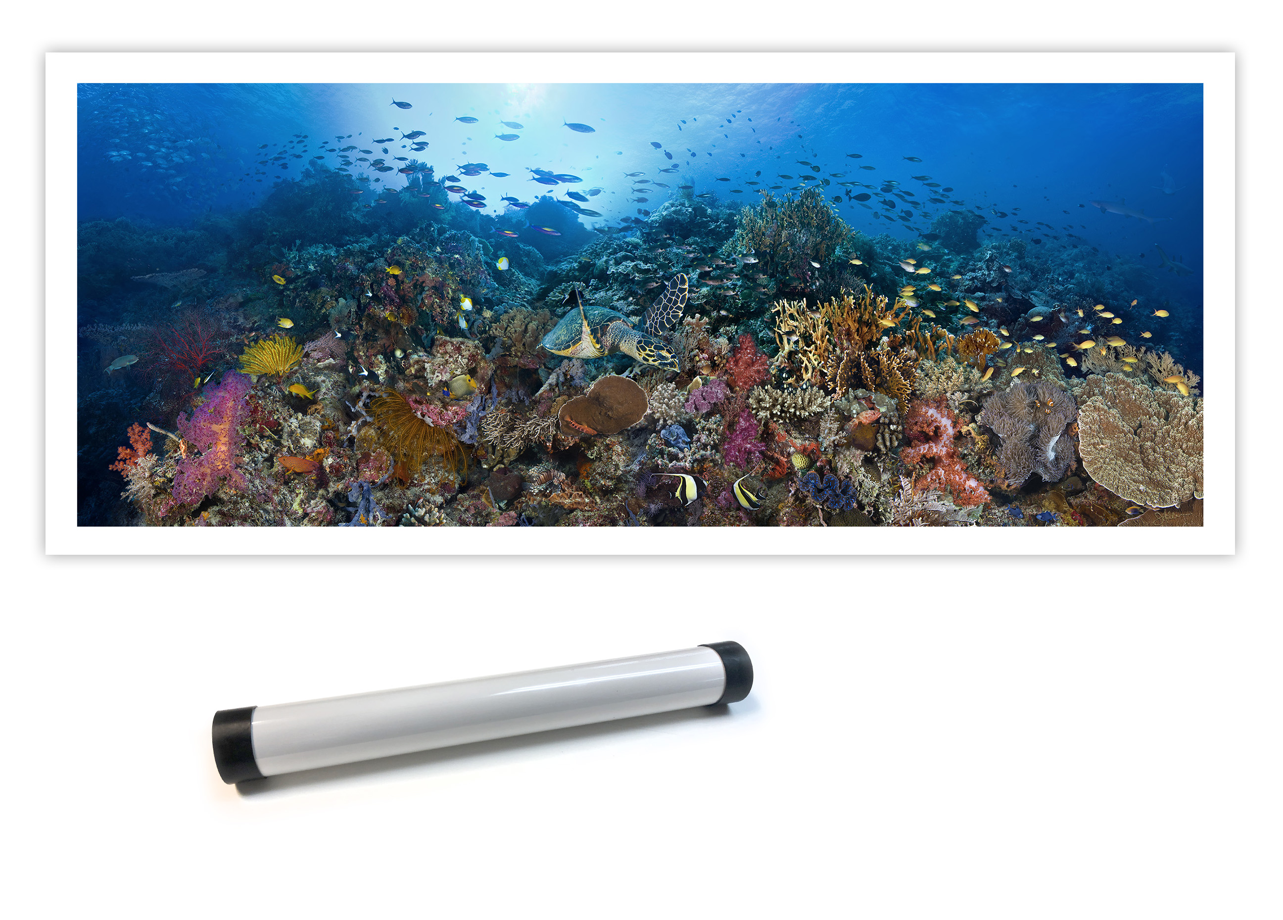 "Tubbataha Atolls" – Image 6