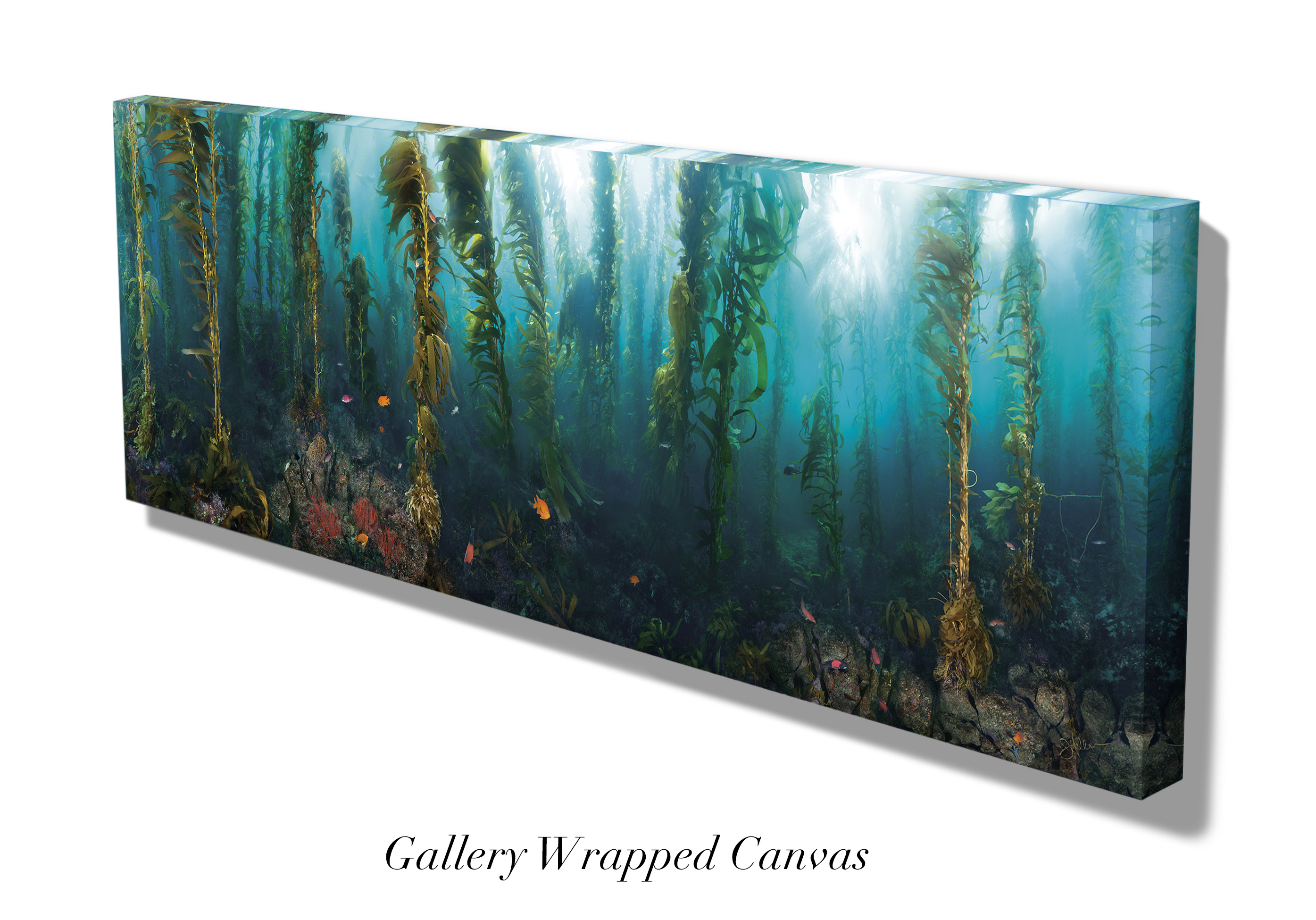 "San Clemente Morning" – Image 6