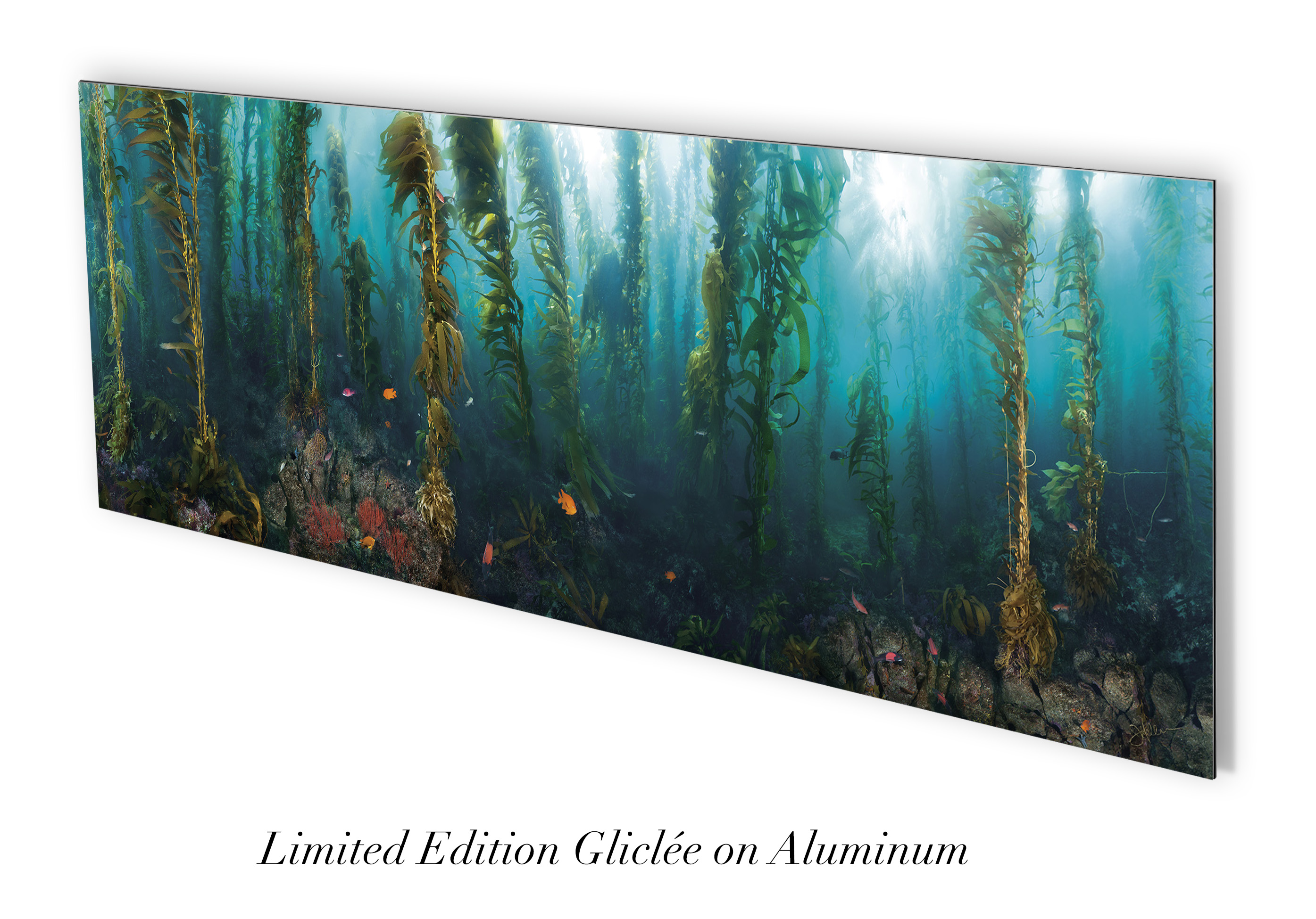 "San Clemente Morning" – Image 5