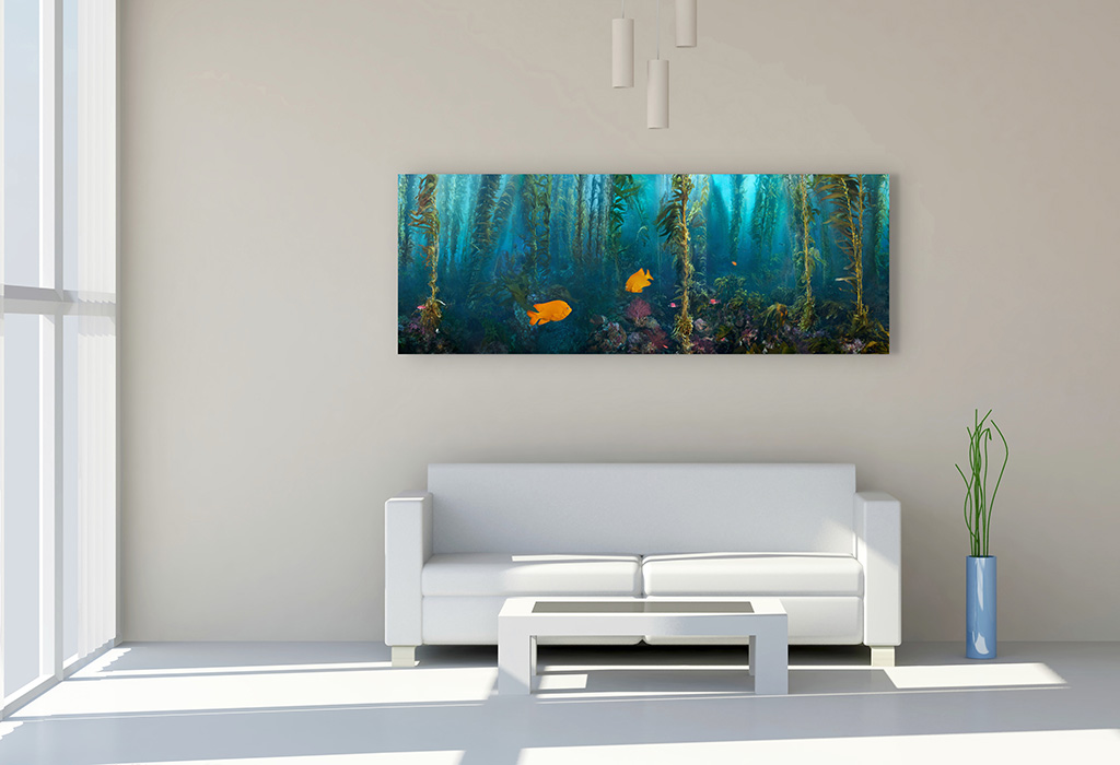 "Kelp Forest Damsels" – Image 4