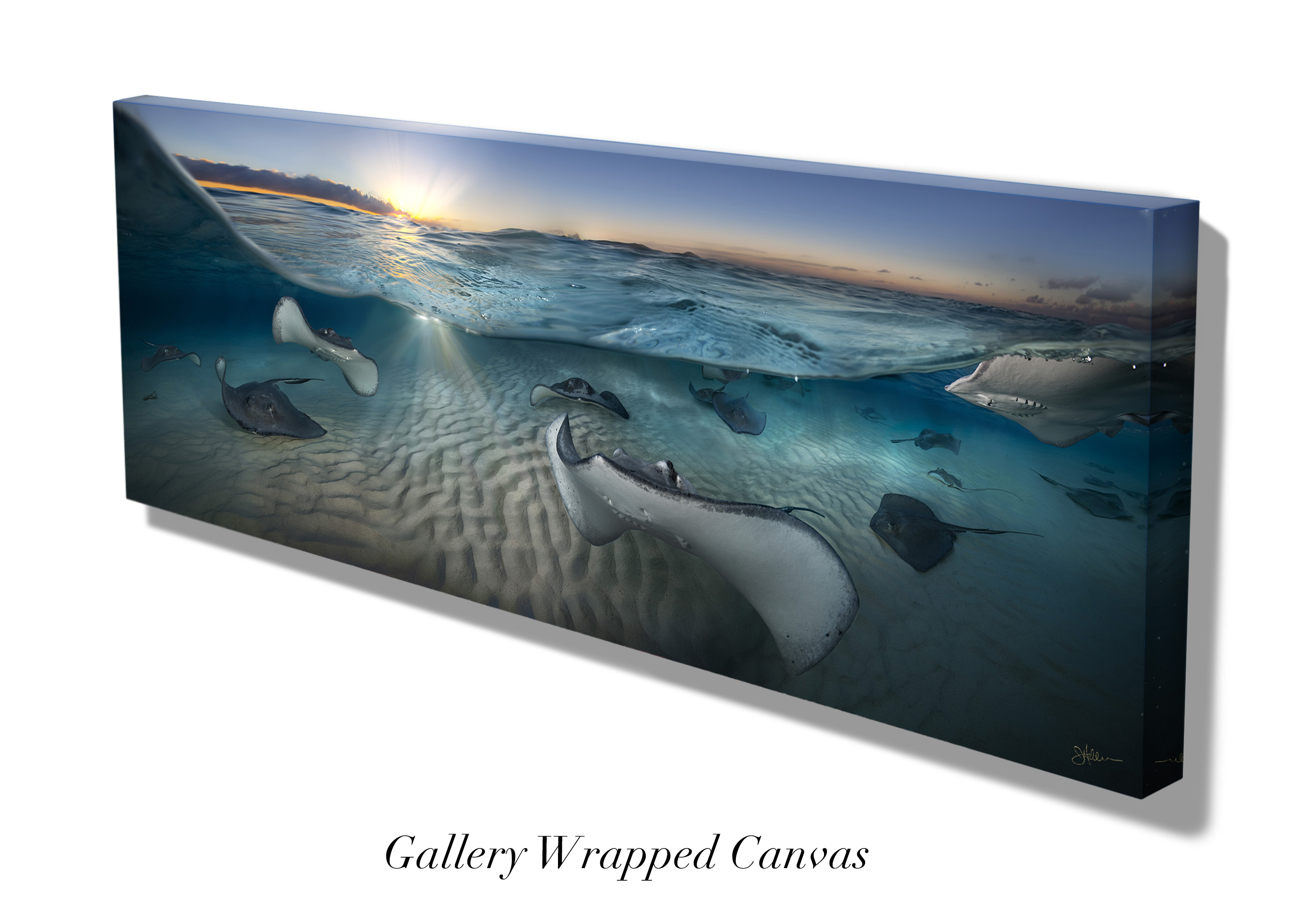"Golden Rays" – Image 7