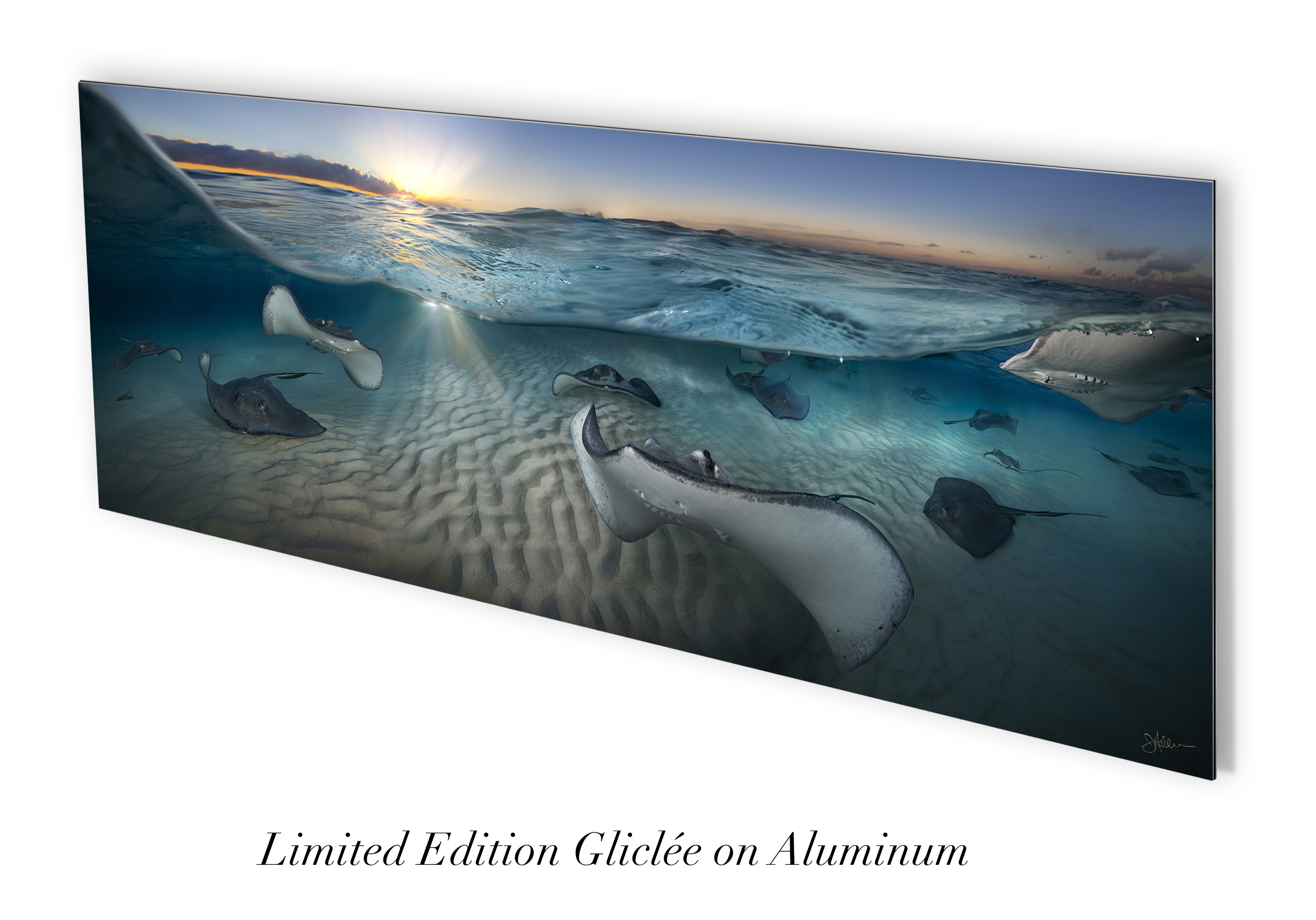 "Golden Rays" – Image 6
