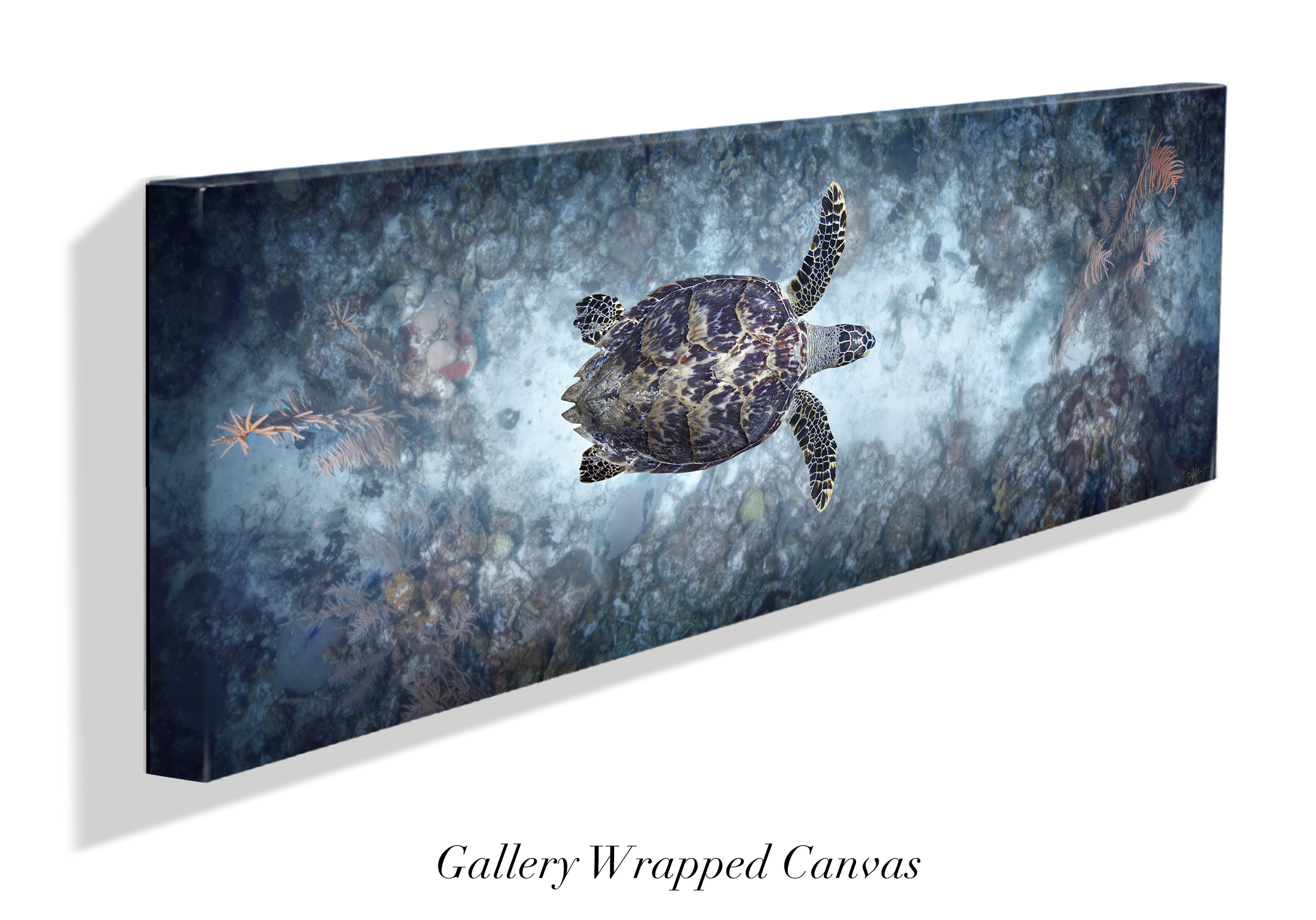 "Glide" – Image 7