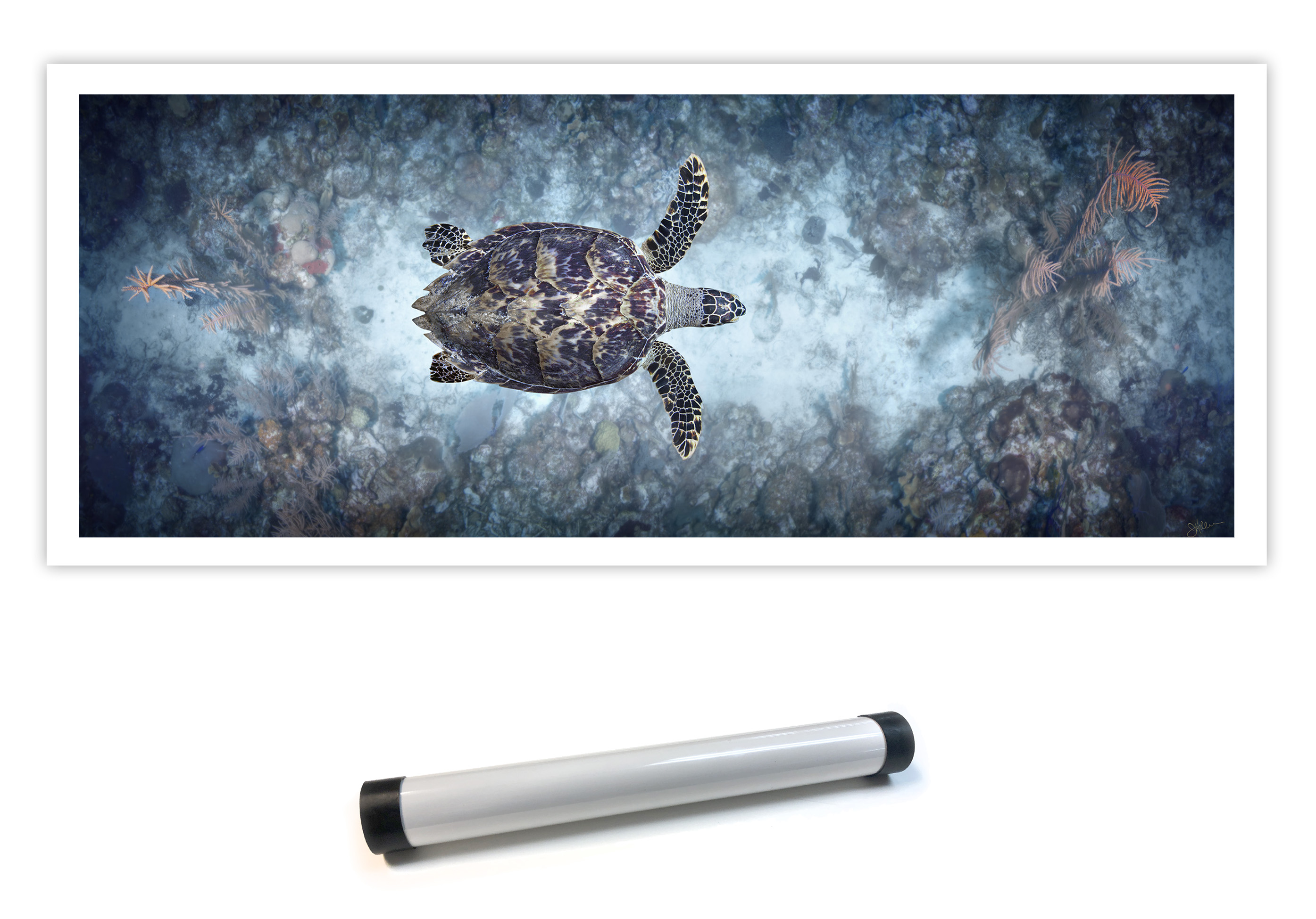 "Glide" – Image 8