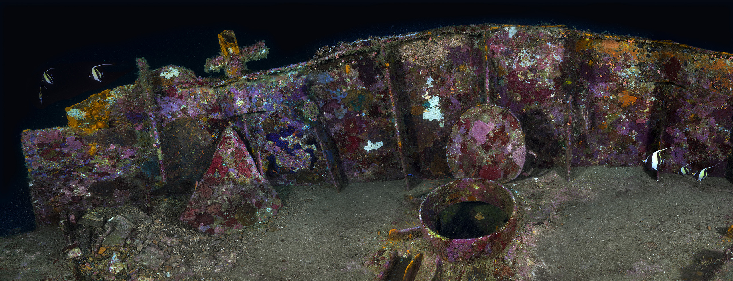 "The Bow" – Image 2