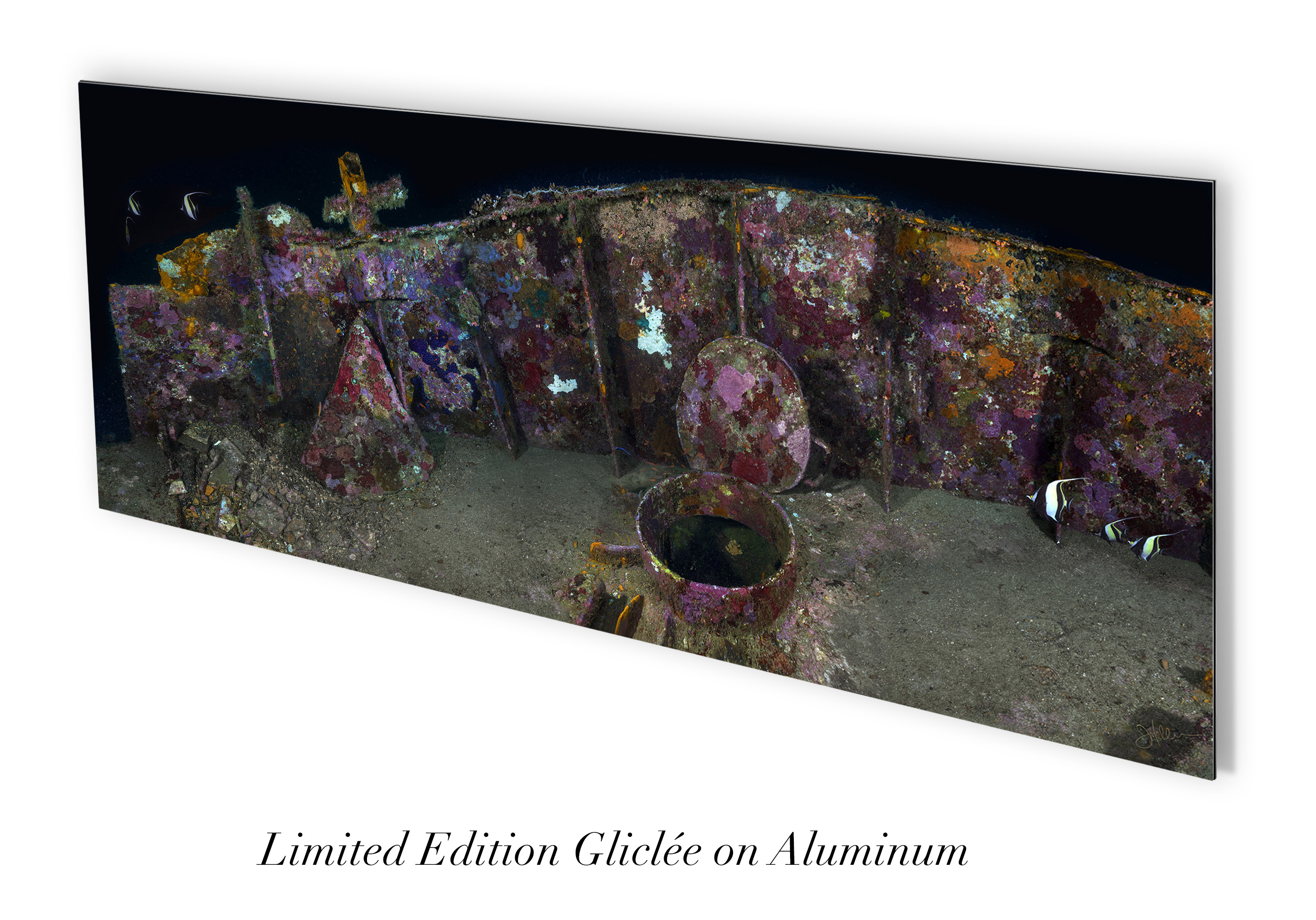 "The Bow" – Image 3