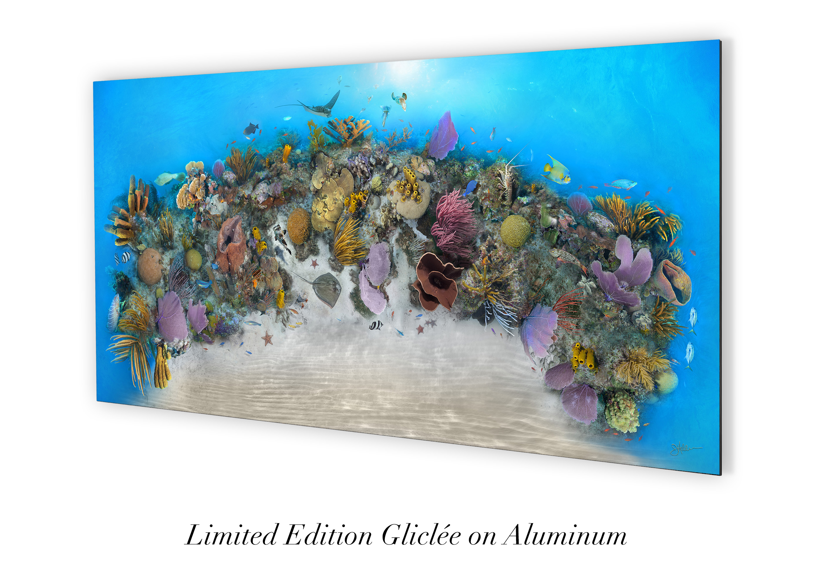 "Clarion Sea" – Image 6