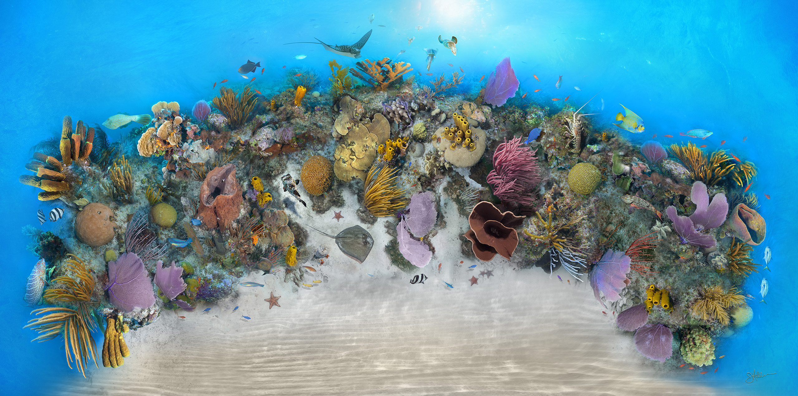 "Clarion Sea" – Image 5
