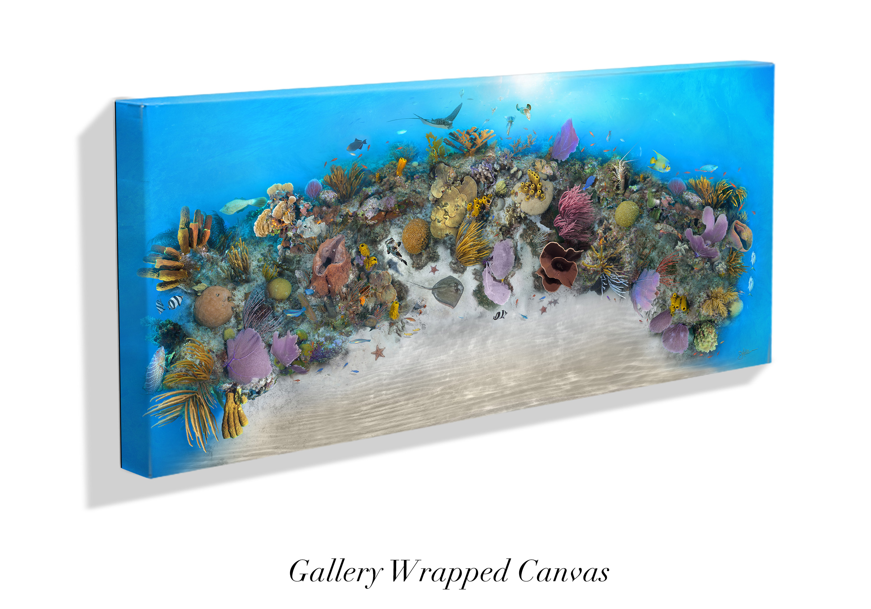 "Clarion Sea" – Image 7